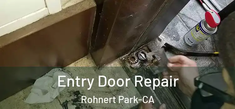  Entry Door Repair Rohnert Park-CA