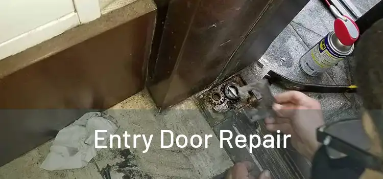 Entry Door Repair