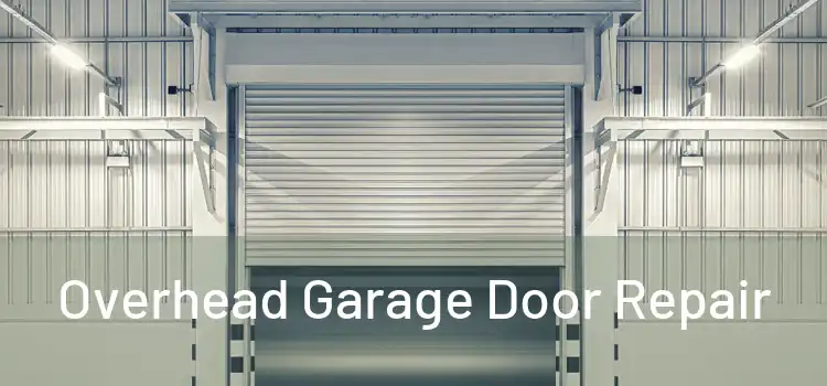  Overhead Garage Door Repair 